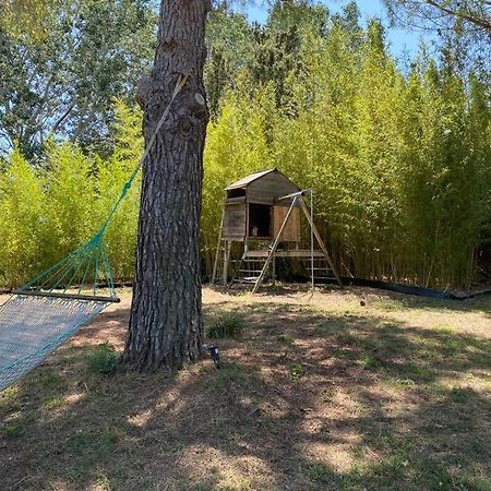 Petit Mas Calme Typique Du Sud ! Villa Valergues Luaran gambar